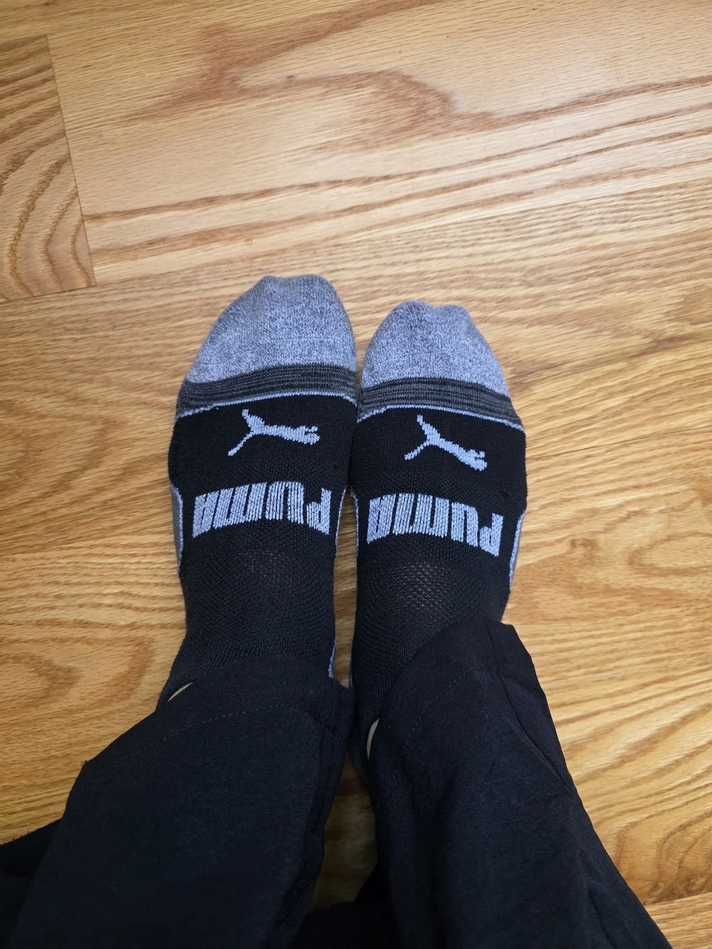 PUMA Black & Gray Low-Cut Athletic Socks WW